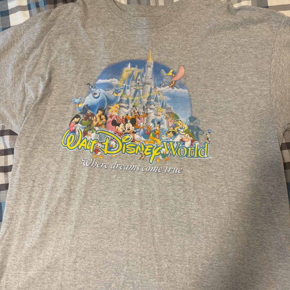 Disney Grey Graphic T-Shirt
